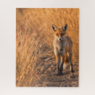 Puzzle Conception de faune inspirée de la nature du renar