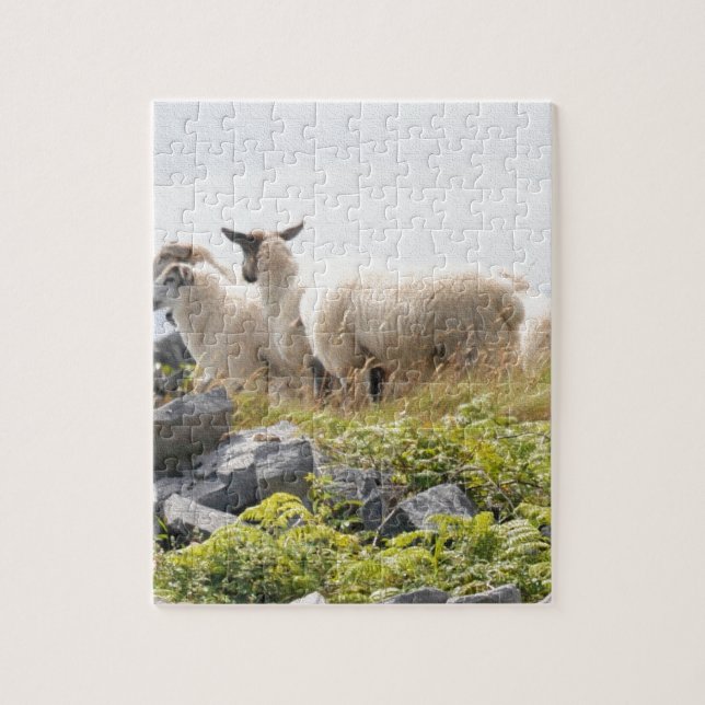 Puzzle Conception risquée - Moutons dans un champ (Vertical)