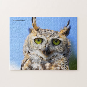 Puzzle Concours de regards avec un magnifique Grand-duc d