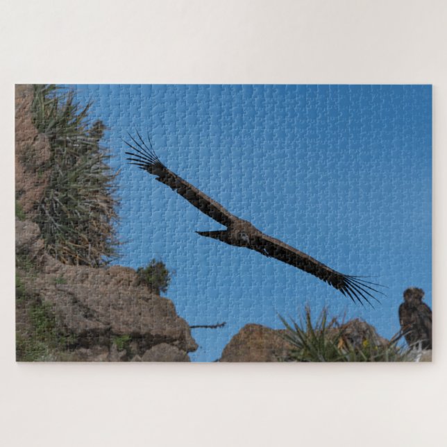 Puzzle Condor andin à Colca Canyon, Pérou (Horizontal)