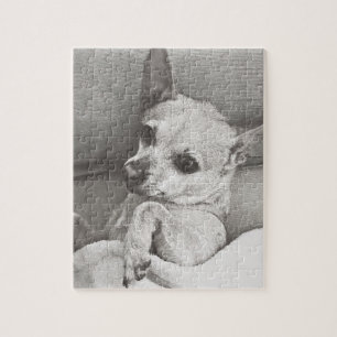 Puzzle confortable de chiwawa