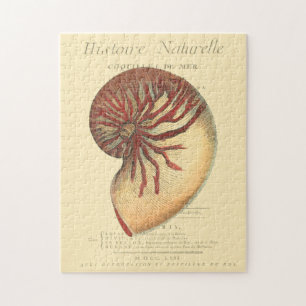 Puzzle Conque rouge vintage Shell