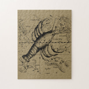 Puzzle Constellation du cancer Hevelius 1690 21 juin-22 j