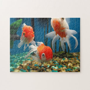 Puzzle Contes de poissons