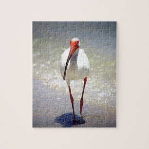 Puzzle Contrefiche blanche d'IBIS