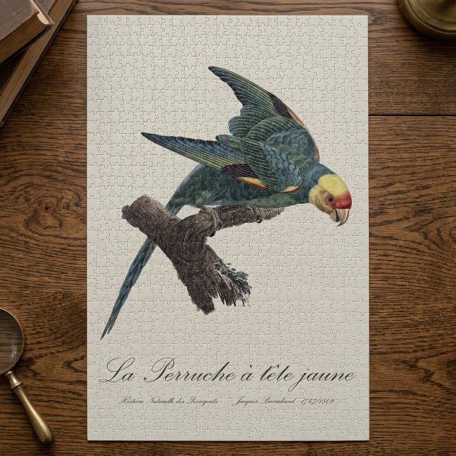 Puzzle Conure de Caroline, Conuropsis carolinensis (Carolina parakeet, Conuropsis carolinensis. Jigsaw Puzzle)
