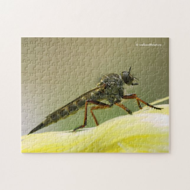 Puzzle Cool Assassin Fly Bug Insect (Horizontal)