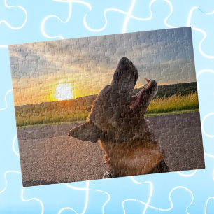 Puzzle Cool Fun Chien Animaux de Compagnie Photo, Jeu de 