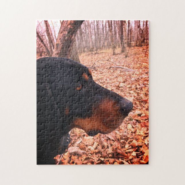 Puzzle Coonhound noir & tan (Vertical)