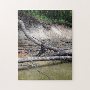 Puzzle Coonhound Noir & Tan Dans La Rivière