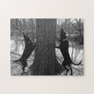 Puzzle Coonhounds Arbres En Noir & Blanc