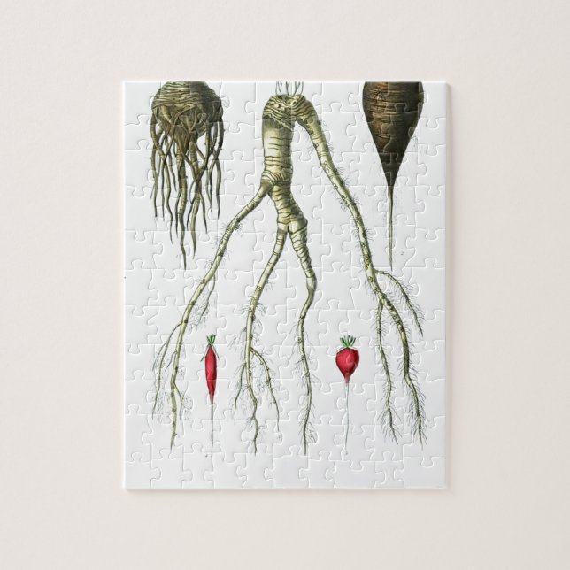 Puzzle Copie botanique de légumes à racine vintages (Vertical)