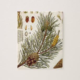 Puzzle Copie botanique vintage de pin de Pinecone