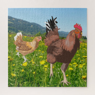Puzzle Coq et poulet 3