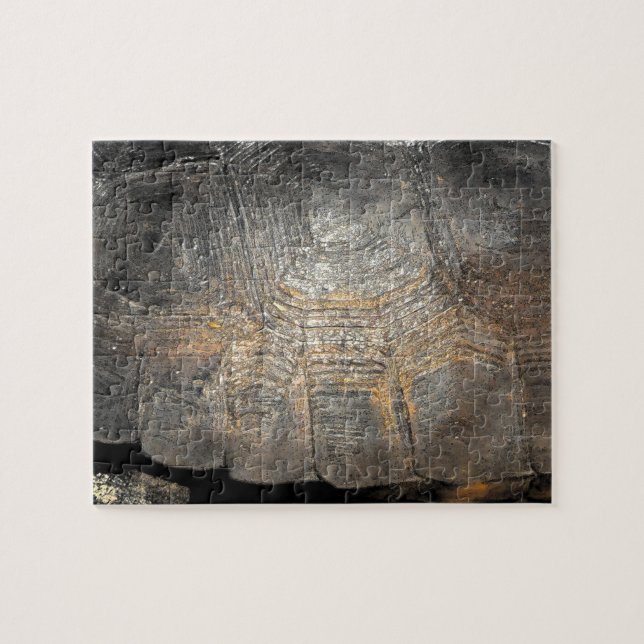 Puzzle Coque de tortue Gopher (Horizontal)