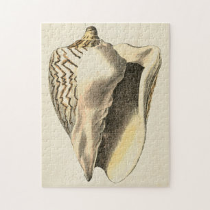 Puzzle Coque vintage Sepia Conch