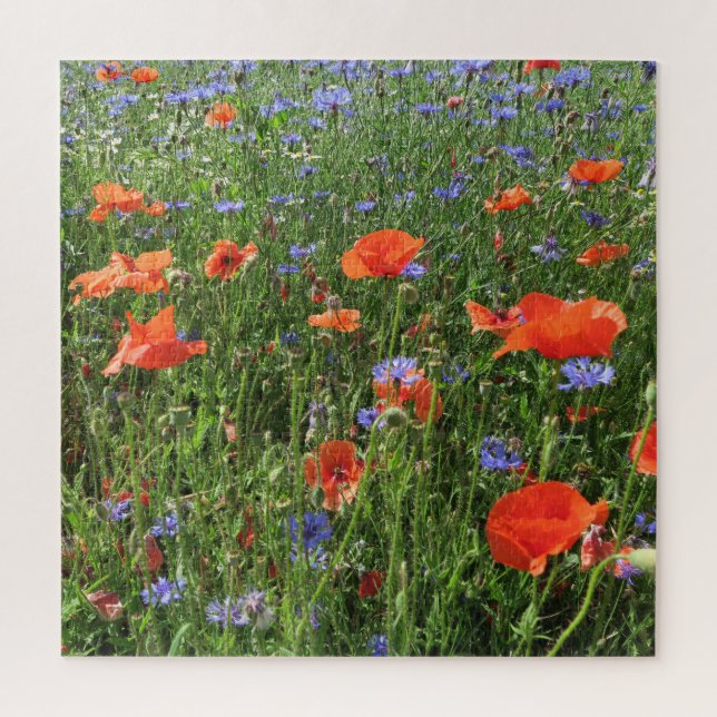 Puzzle coquelicot, fleur, champ, nature, printemps, arriè (Vertical)