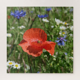 Puzzle coquelicot, fleur, champ, nature, printemps, arriè