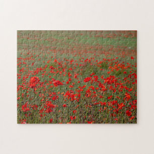 Puzzle Coquelicots Défieurs