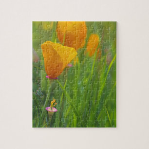 Puzzle Coquelicots dorés de Californie dans un champ vert