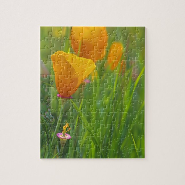 Puzzle Coquelicots dorés de Californie dans un champ vert (Vertical)