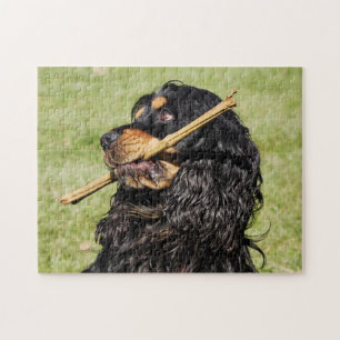 Puzzle Coqueur noir et tan jouant Chien chiot espagnol