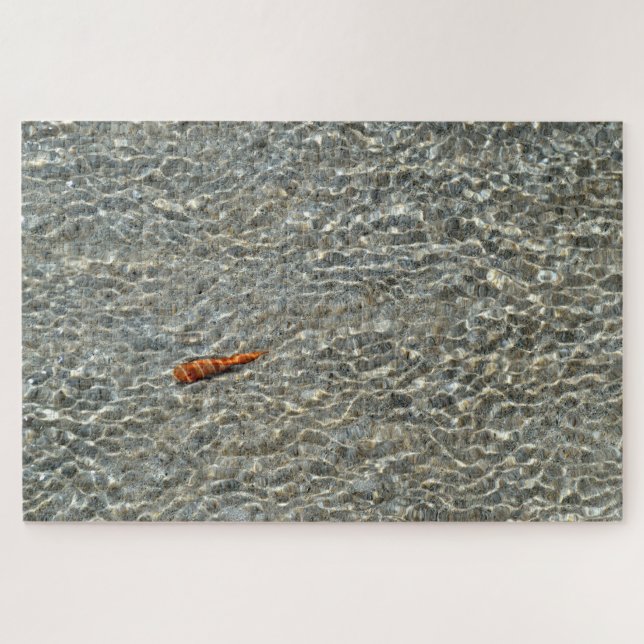 Puzzle Coquillage sur la plage (Horizontal)