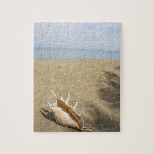 Puzzle Coquillage sur la plage de sable