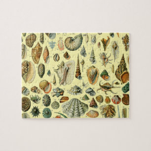Puzzle Coquillages de coquillages Mollusk Clam Élégant Ar