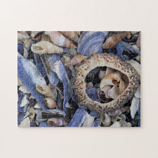 Puzzle Coquillages, Le Cap, Cap-Occidental (Horizontal)