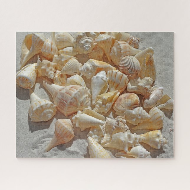 Puzzle - Coquillages sur la plage (Horizontal)