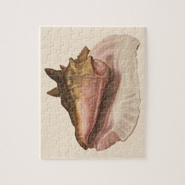 Puzzle Coquille de l'escargot de mer Reine de collection, (Vertical)