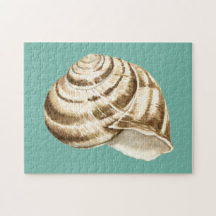 Puzzle Coquille striée Sepia sur Turquoise