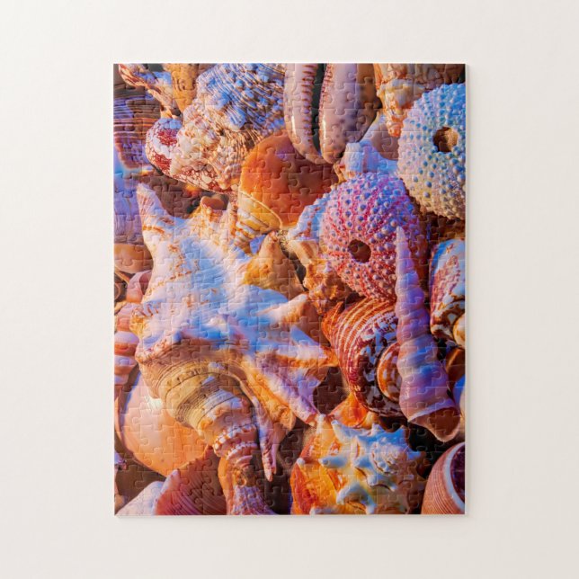Puzzle Coquilles (Vertical)