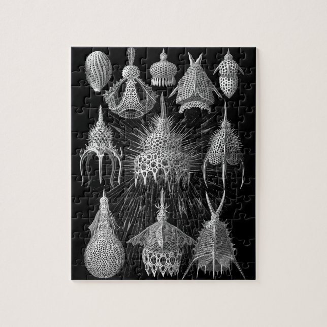 Puzzle Coquilles de plancton en noir et blanc (Cyrtoidea) (Vertical)