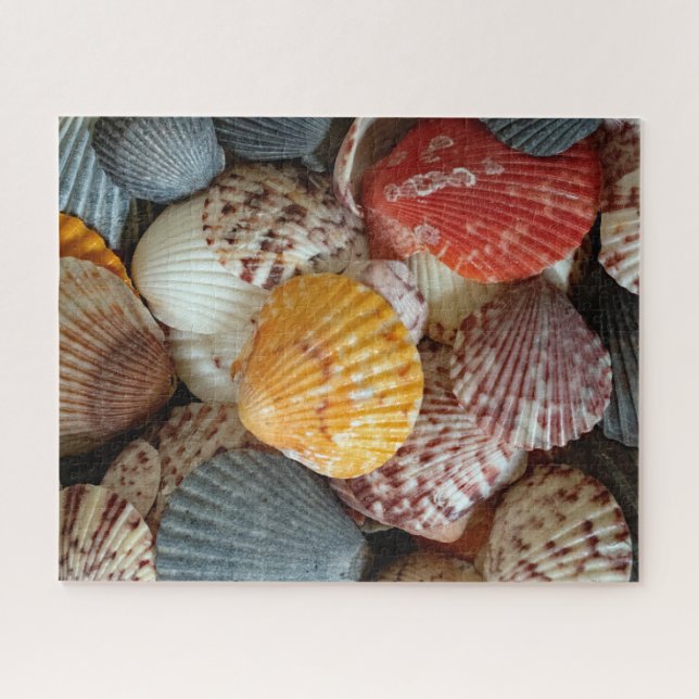 Puzzle Coquilles Saint-Jacques colorées (Horizontal)