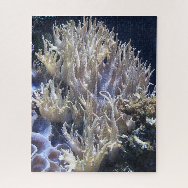 Puzzle Corail blanc pâle vivant dans l'eau de l'océan fon (Vertical)