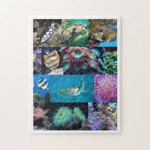 Puzzle Corail Reef Marine Poissons Animaux, Âge 8, 252 Pi