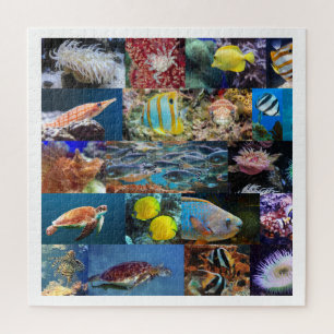 Puzzle Corail Reef Ocean Fish Animals, 11 ans, 676 pièces