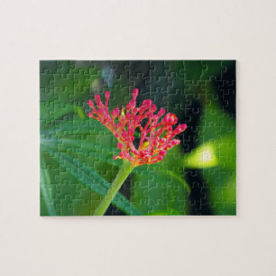 Puzzle Coral Bush en fleurs