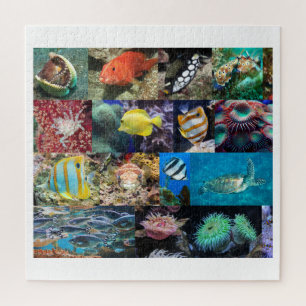 Puzzle Coral Reef Marine Life Collage, 10 ans, 676 pièces