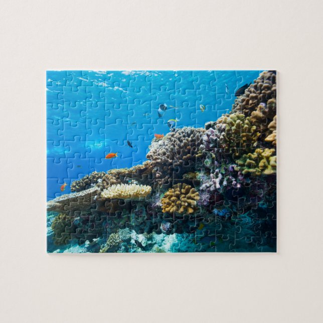 Puzzle Coral reef underwater (Horizontal)