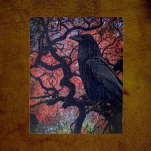 Puzzle Corbeau noir et érable japonais noueux