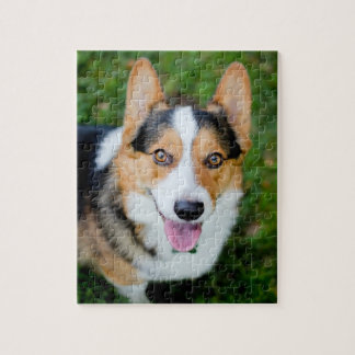 Puzzle Corgi de Gallois de Pembroke