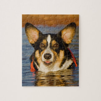 Puzzle Corgi mignon