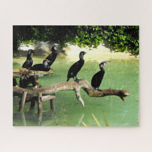 Puzzle Cormorans