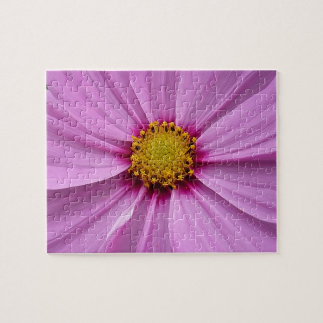Puzzle Cosmos rose Fleur sauvage Floral (Horizontal)