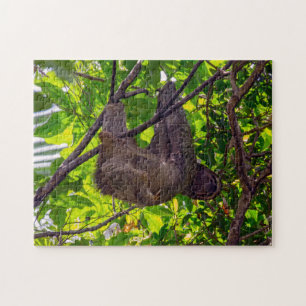 Puzzle Costa Rica - Happy Sloth paresseux, Antonio Manuel