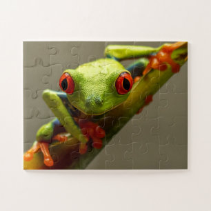 Puzzle Costa Rica La grenouille des arbres à feuilles rou