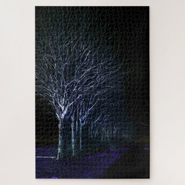 Puzzle Côté foncé 10 20x30 1014pc jpcnm (Vertical)